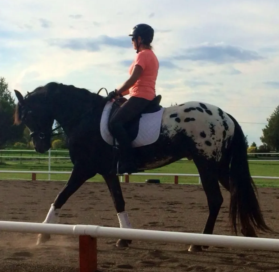 FDAS Apollo in the arena
