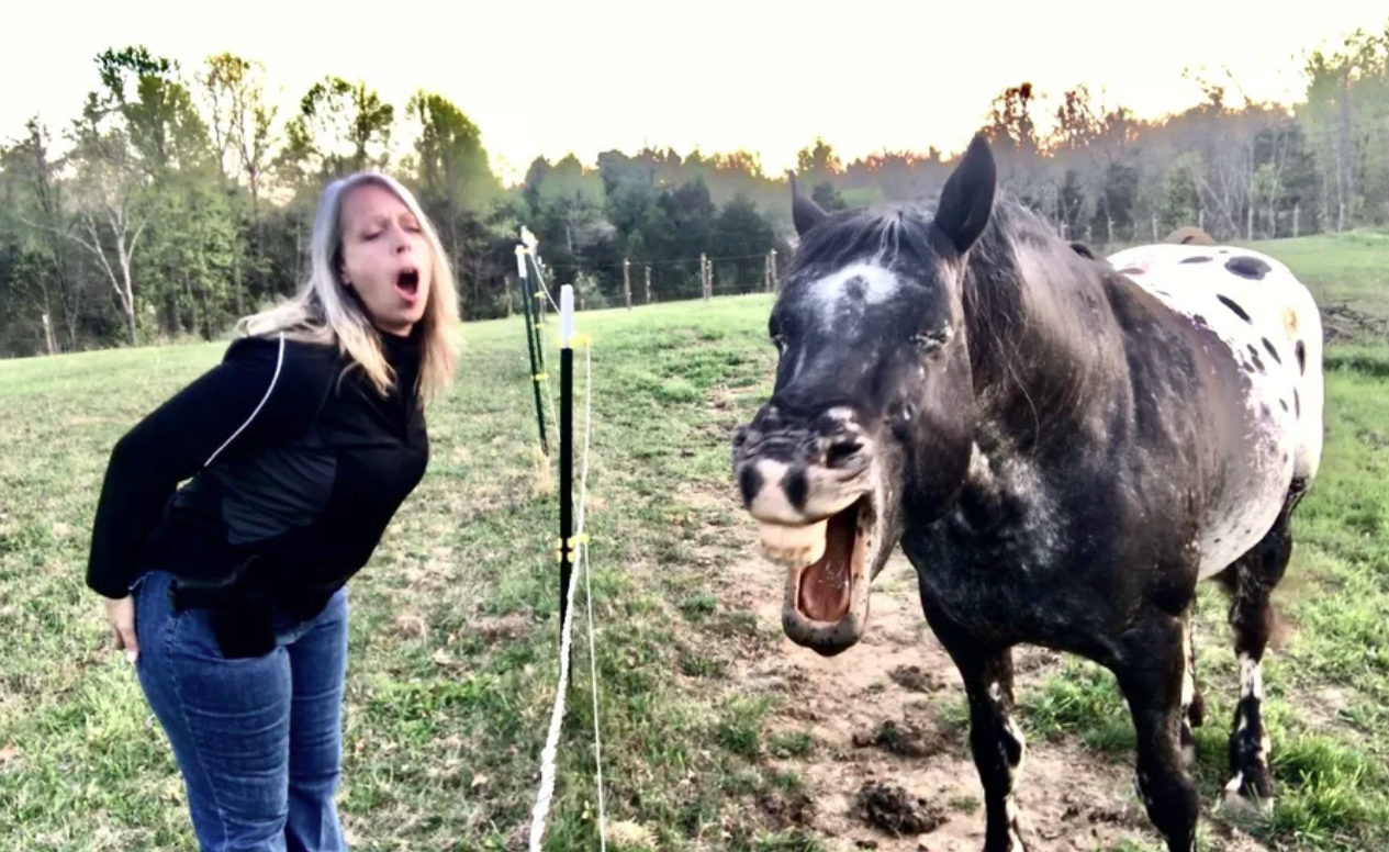 Phoenix yawn